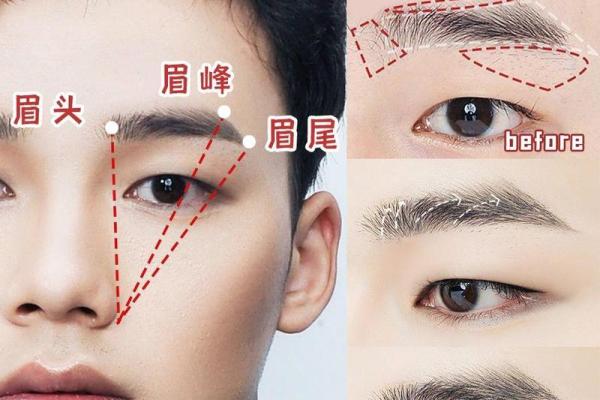 眉毛与命运的微妙联系——探索眉毛之美与人生轨迹的密切关系