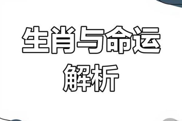 探秘癸水命：生肖与命理间的悠然交织