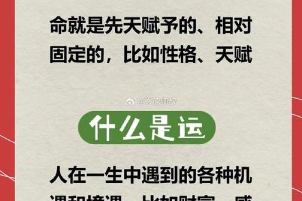 根据什么送什么命：探索命运与选择的深度思考