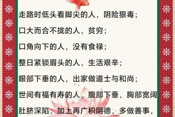 脑门窄额骨高的命运解析：揭示独特个性的魅力与挑战