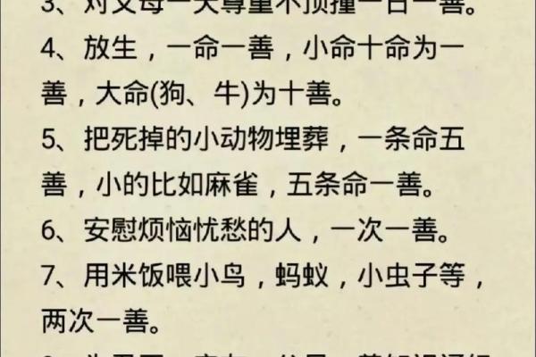一命二运中的“一命”：生命的奥秘与我们命运的交织