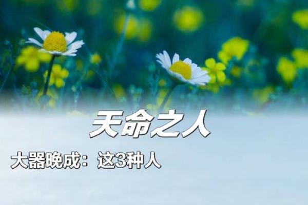 1980年7月2日出生的你，命运的指引与人生的智慧