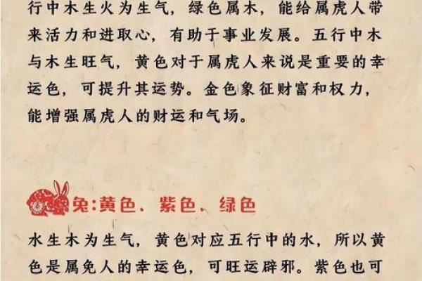 72岁属鼠的命运解析：智慧与财富的象征