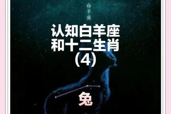 1988年属兔人的命运与性格分析：温柔智慧的兔子如何优雅前行
