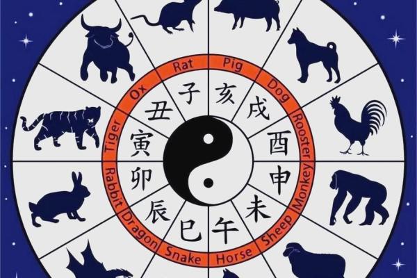 贪财爱命，生肖中的性格隐喻与启示