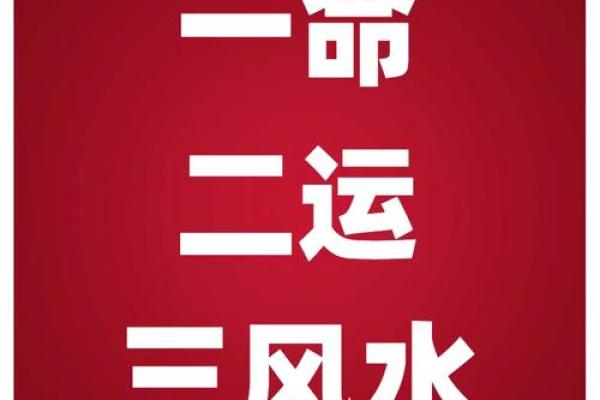 让她一命换一命：生命的抉择与宿命的纠葛