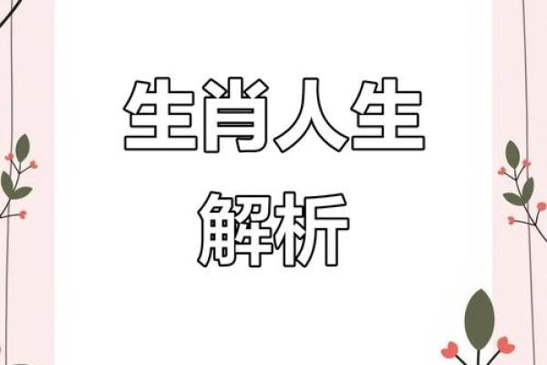 癸酉年出生的人命理解析：命运与人生之路的探寻