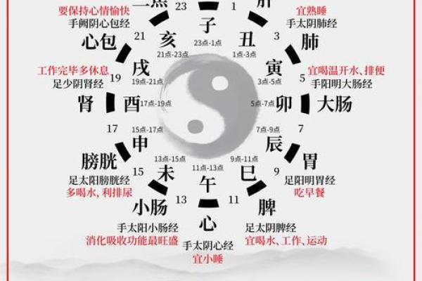 庚午己酉戊寅戊午：探索五行命理与人生轨迹的奥秘