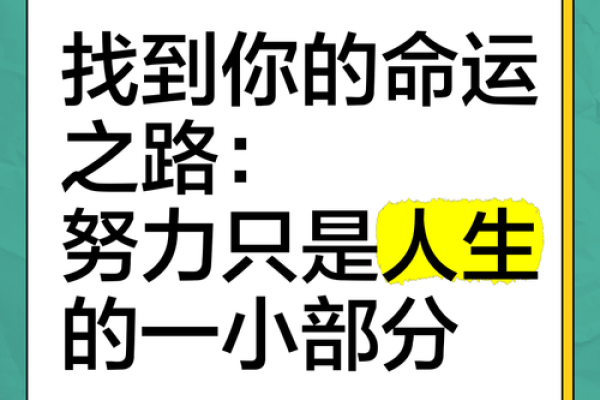 1990年出生的男性命运之路：探索生命的多重可能性