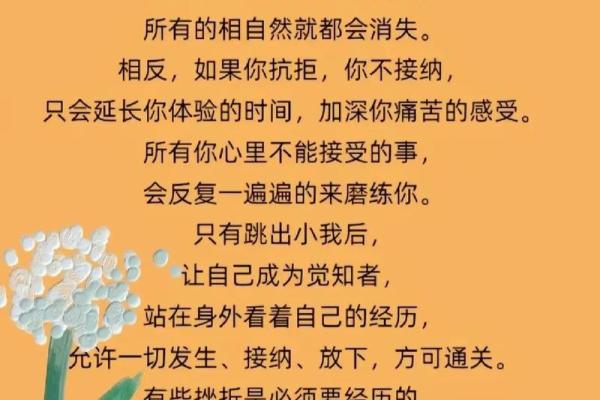 熟能生巧：从磨练中领悟生活真理