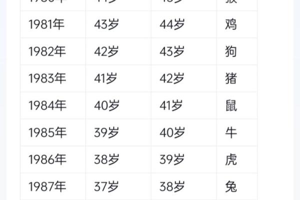 88年龙女命理解析：人生运势与2023年的机会与挑战