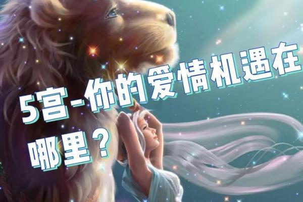 揭开“规画之命”的神秘面纱：生活中的选择与机遇