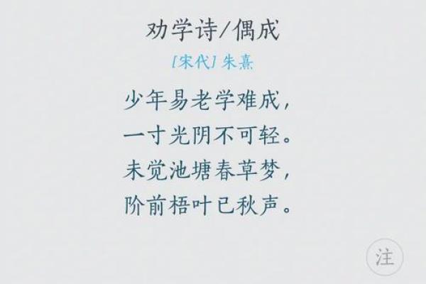 揭秘2017腊月十四的命理特征与人生启示