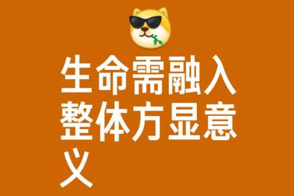 探寻表达生命的词汇：语言中的力量与情感世界