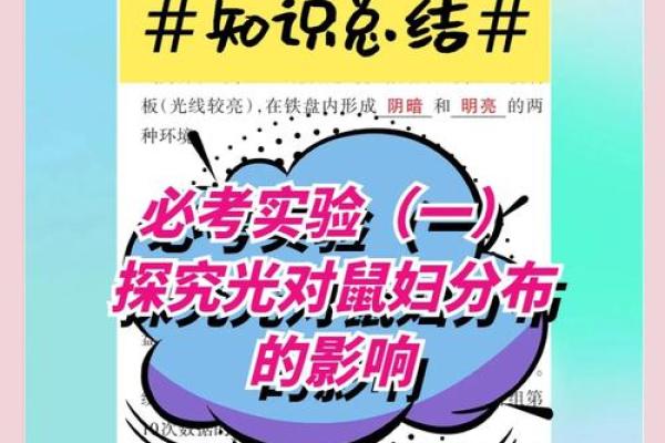 探索内心深处的奇幻旅程——心念如何影响我们的生活