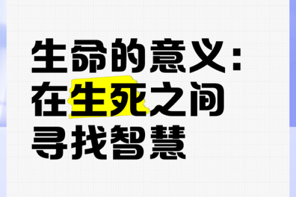 探索生命的意义：从命运到选择的智慧之路
