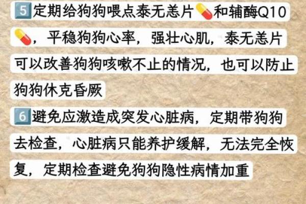 探秘28岁狗狗的命运：你的毛孩是否能享受幸福长寿？