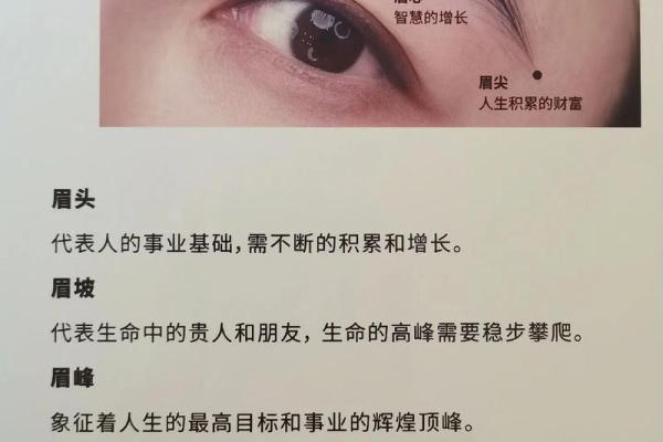 孩子眉毛的命理解读：从眉毛看性格与运势的奥秘