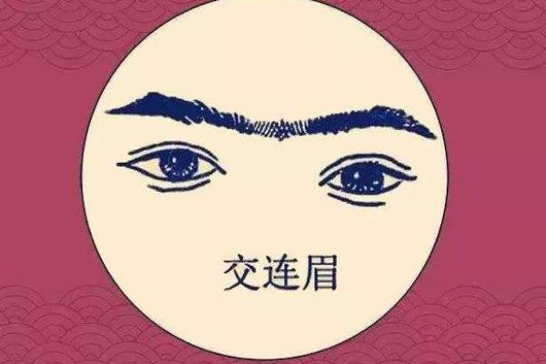 孩子眉毛的命理解读：从眉毛看性格与运势的奥秘