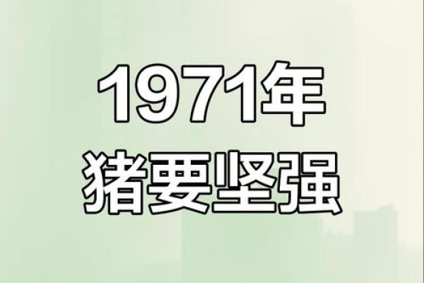 1971年猪年出生的人命运如何？看他们人生的精彩与挑战！