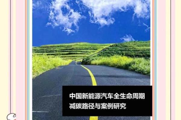1965年出生的人命运解析：探索他们的生命之路与未来机遇