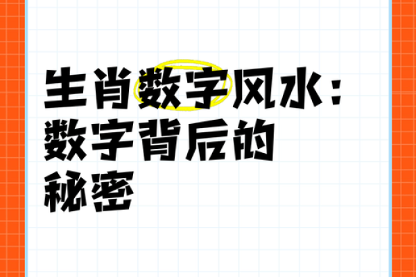 解密数字背后的秘密：数字命理学初探与应用