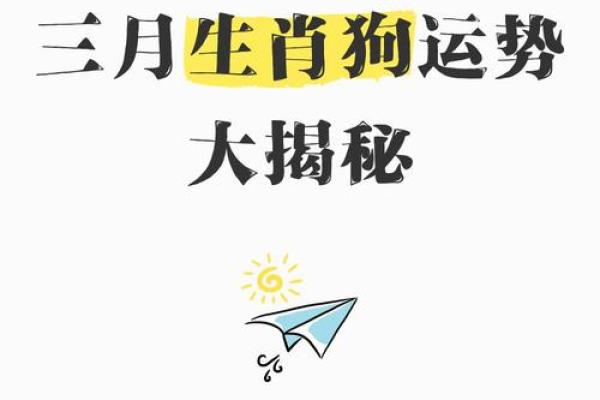 属狗人的最佳月份：揭示运势提升的秘密！
