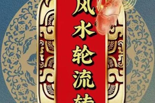 揭开土命纹的神秘面纱，鲤鱼招财秘法探寻