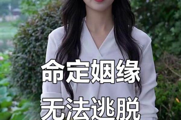 你会经历什么，嫁什么都是命运的安排与选择过程