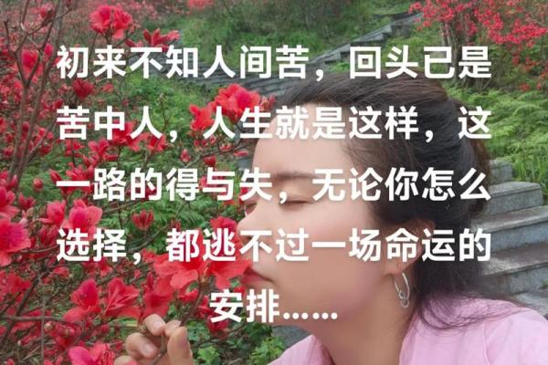 你会经历什么，嫁什么都是命运的安排与选择过程