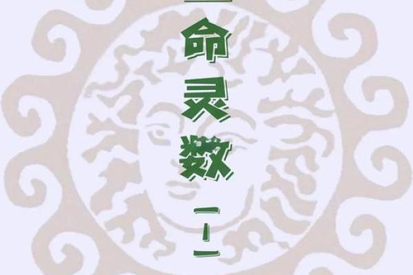 木命人的吉祥数字：探索数字与命理之间的奥秘