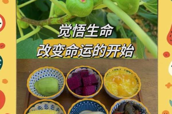 探寻1952年男士的命运之路：从五行看人生际遇