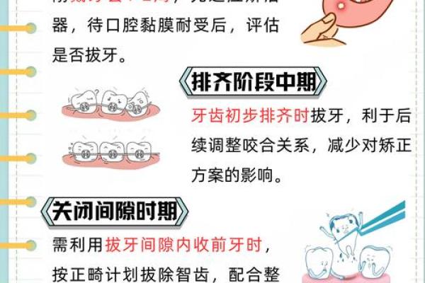 揭开28颗牙齿的秘密：解读你的命运密码
