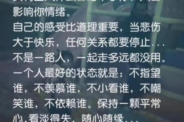 探秘“静命”：追寻内心宁静的艺术与智慧