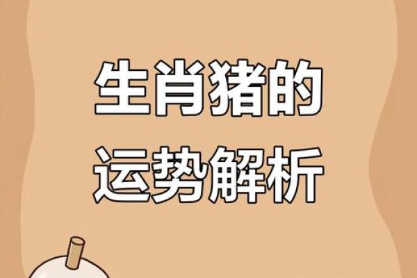 28岁火命属猪的星座运势与人生智慧探秘