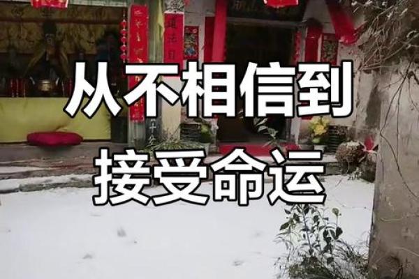 如何看待“信命”这一现象：命运、信仰与生活的交织