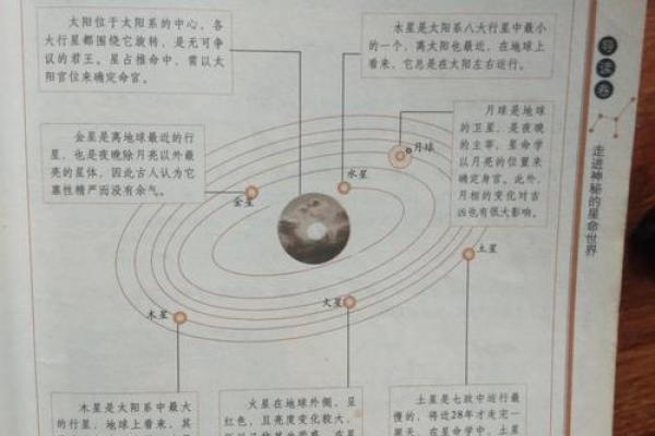 揭开星命学的面纱：命主与身主的深刻含义