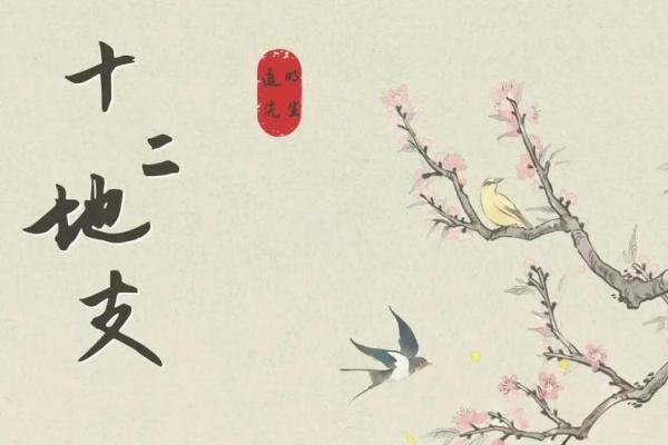 深入探讨：命里戊午的独特含义与传统智慧
