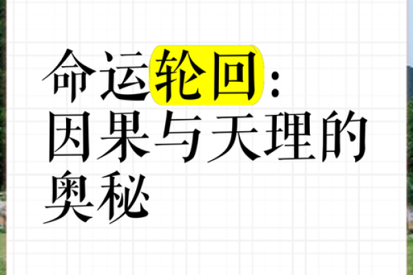 06年10月的命运之谜：探寻人生转折点的奥秘