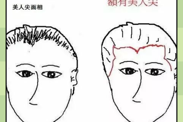 女人脸特大是什么命？探讨面相与命运的奥秘