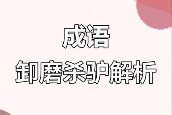 探秘“驴命”：揭示古老成语背后的智慧与深意