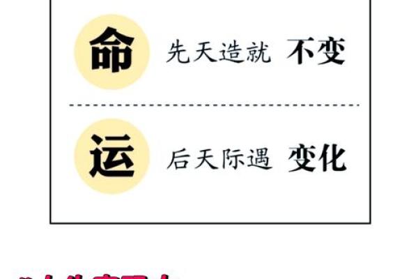 探索命运的密码：如何通过属性了解你的命运