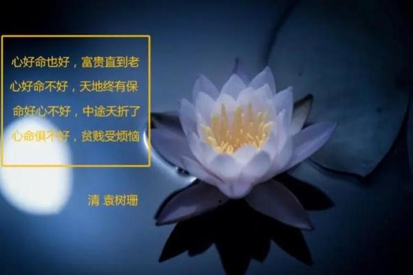 探索命理中的九流之命：揭示命运中的多样性与可能性