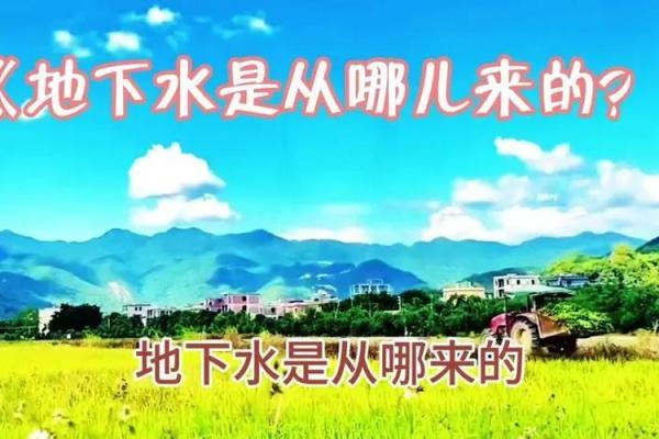 泉中水命与涧下水命的神秘对比：探寻两者的特性与生活影响