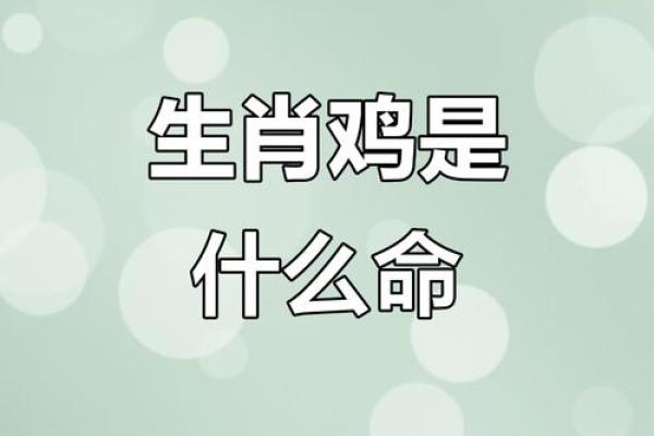 2017年鸡年：水命鸡的命运与特点分析