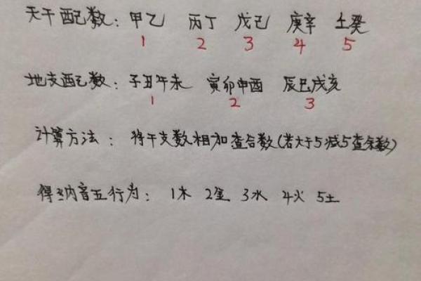 探寻壬申年与壬寅年的命理奥秘：为你解读五行与天干地支的结合