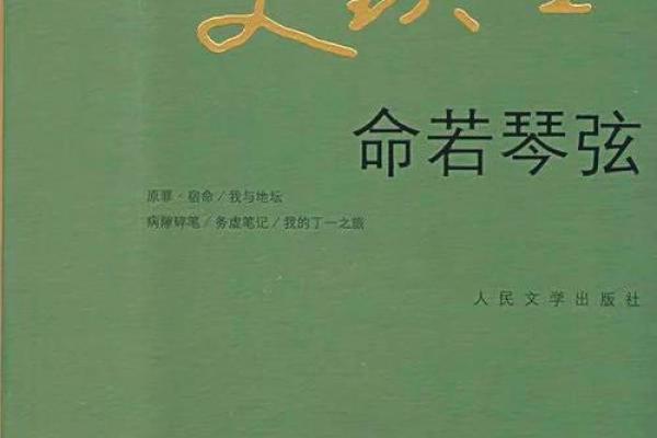 命若琴弦，人生的共鸣与和谐之道