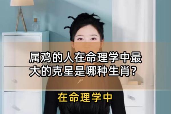 属鸡人的命理解析：53岁遇到的机遇与挑战