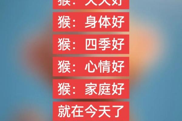 1981年出生的猴子：命运与性格的独特探索