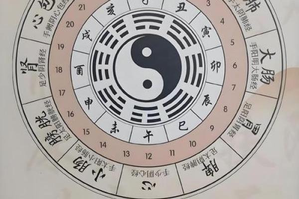 不同命格的人生选择与发展：探索命运的奥秘